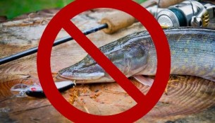Изменены сроки запрета на лов рыбы!