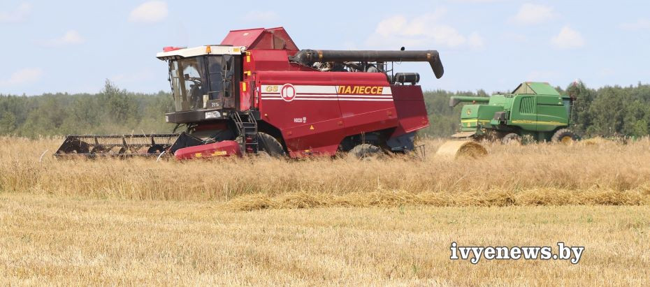 Контроль за уборкой зерновых в Ивьевском районе