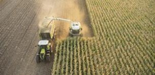 Безопасность работ при заготовке кукурузы