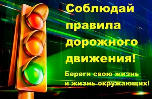 29 января в Беларуси пройдет Единый день безопасности дорожного движения