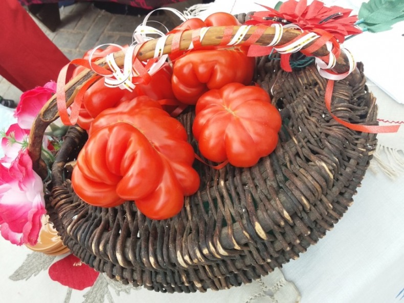 18 августа 2018 года. Районный праздник «Ивьевский помидор»